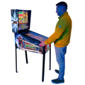 Virtual Pinball 27", DMD 7", Ryzen 7 5800H (Design selection: The Addams Family "Not available", Back to the Future, shipping costs included)